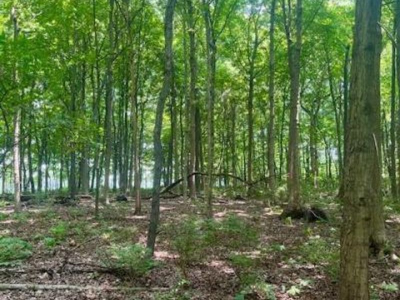 8469 McCulley Lane, Blanchester, OH 45107 Photo 16