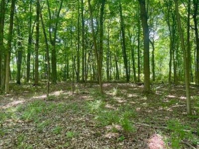 8469 McCulley Lane, Blanchester, OH 45107 Photo 18