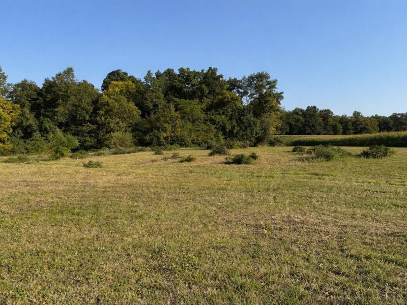 8469 McCulley Lane, Blanchester, OH 45107 Photo 3