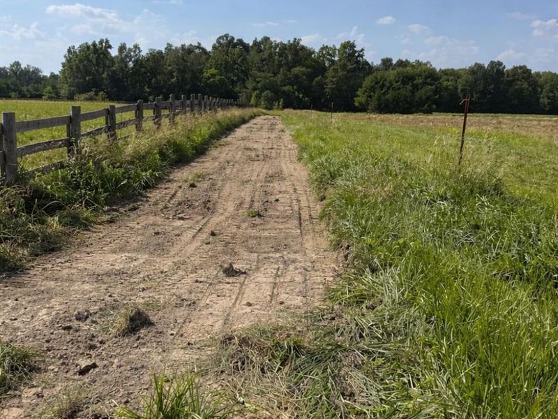 8469 McCulley Lane, Blanchester, OH 45107 Photo 4