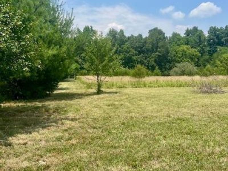 8469 McCulley Lane, Blanchester, OH 45107 Photo 5