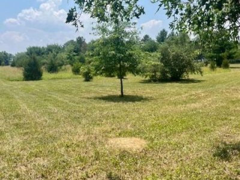 8469 McCulley Lane, Blanchester, OH 45107 Photo 6