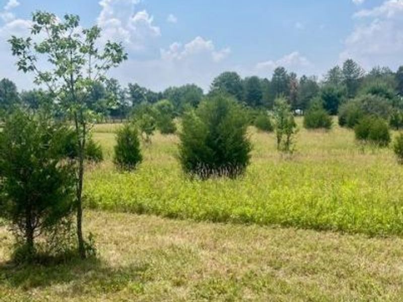 8469 McCulley Lane, Blanchester, OH 45107 Photo 7