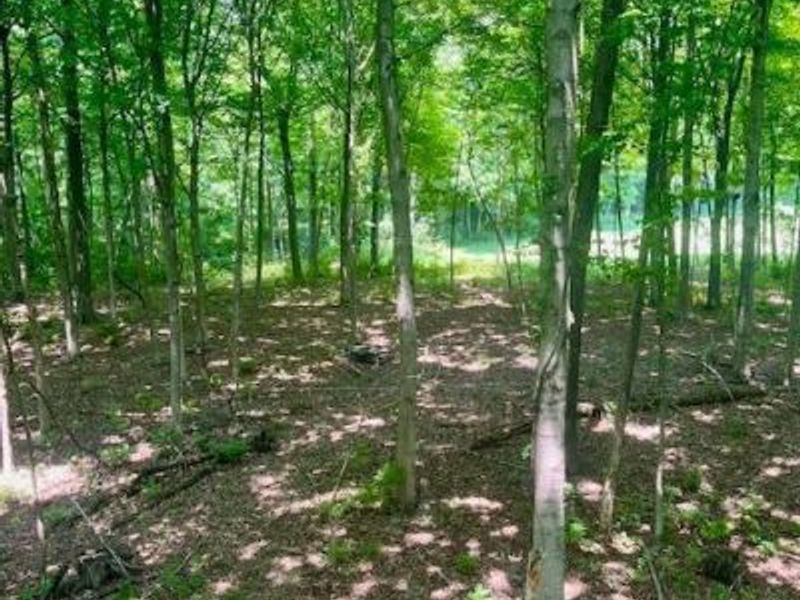 8469 McCulley Lane, Blanchester, OH 45107 Photo 9