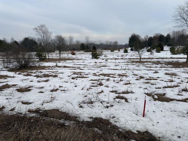 15680 Tyrone Avenue, Kent City, MI 49330