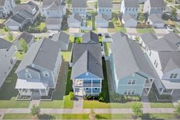 313 Cypress Knee photo 4