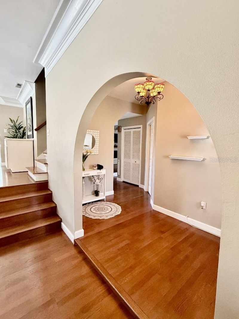 2563 Knotty Pine Way, Clearwater, FL 33761 Photo