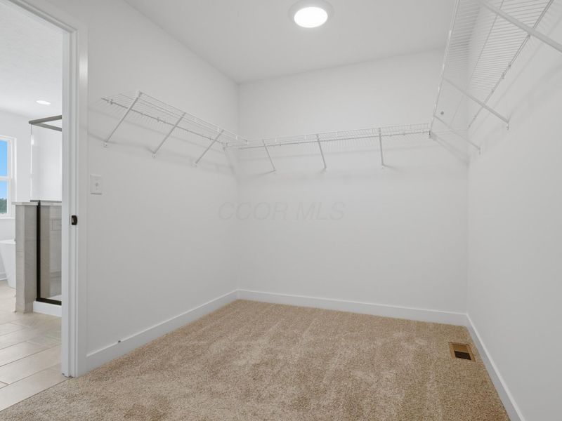 1169 Ivy Wood Drive, Sunbury, OH 43074 Photo 51
