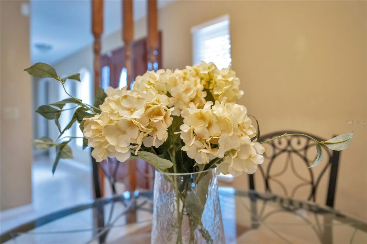 361 Violet Dell, Casselberry, FL 32707 Photo