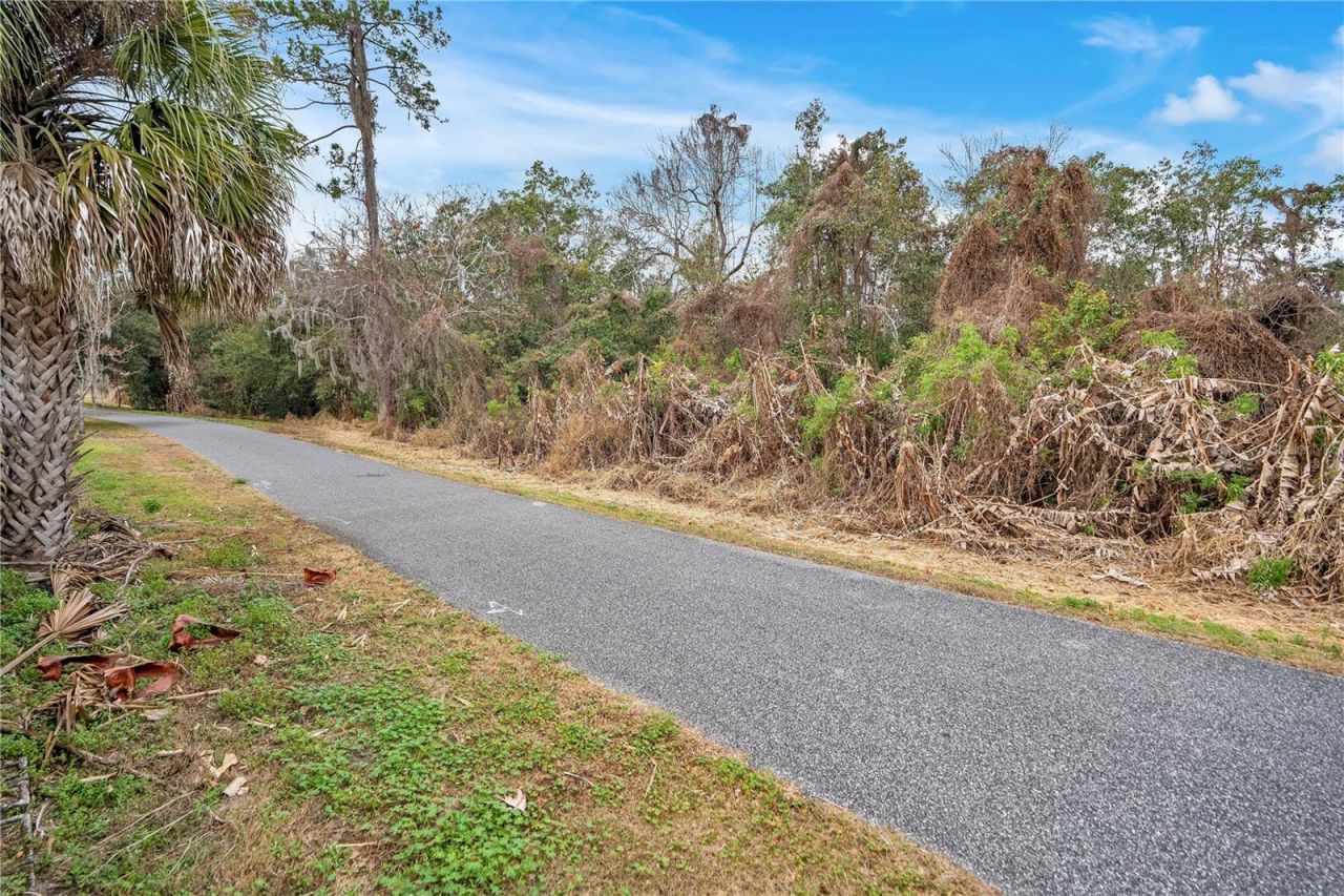 361 Violet Dell, Casselberry, FL 32707 Photo