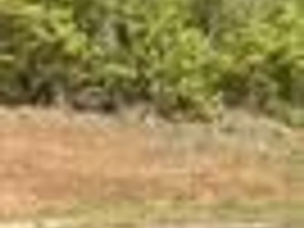 LOT 17 13TH COU 13th Court, Lanett, AL 36863