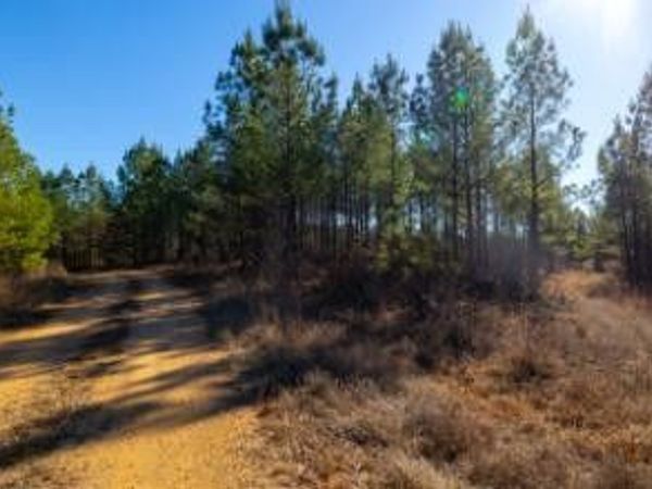 0 White Oak Rd, Stewart, TN 37175