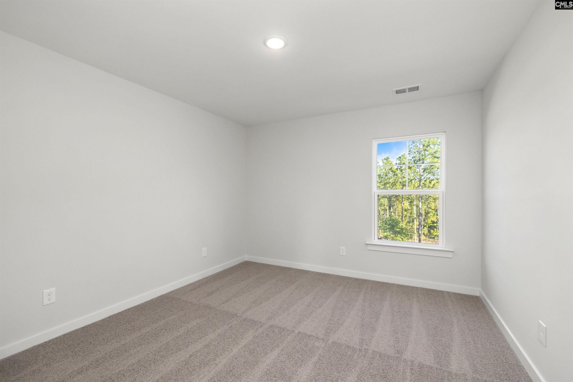 10 Fawn Spot Court Photo 27