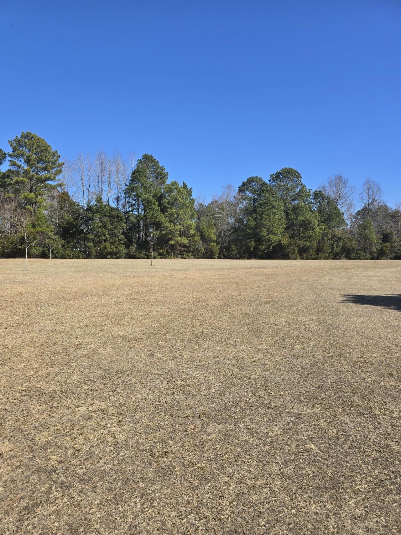 1792 Breezy Bay Way Photo 28