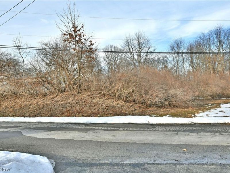 47912 Tomahawk Drive, Negley, OH 44441 Photo 24