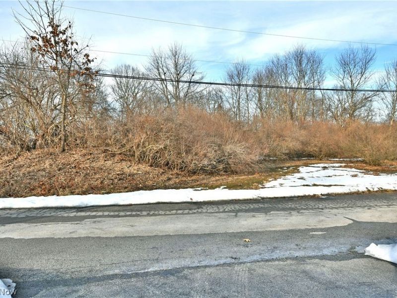 47912 Tomahawk Drive, Negley, OH 44441 Photo 25