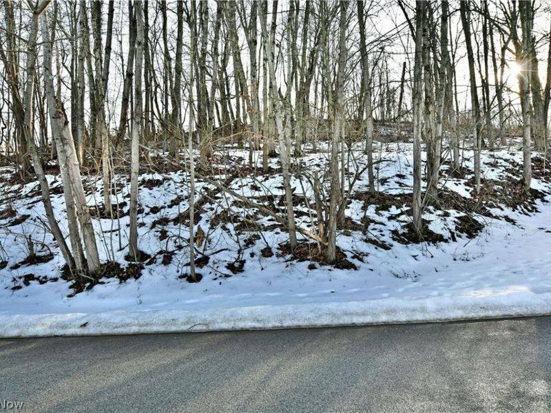 47912 Tomahawk Drive, Negley, OH 44441 Photo 27