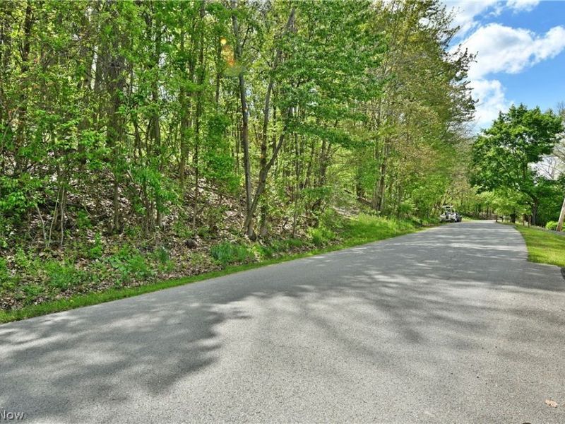 47912 Tomahawk Drive, Negley, OH 44441 Photo 31