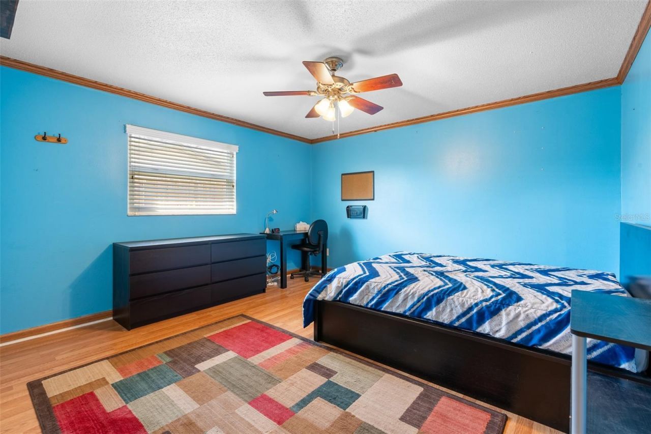 12114 Rhonda Terrace, Seminole, FL 33772 Photo