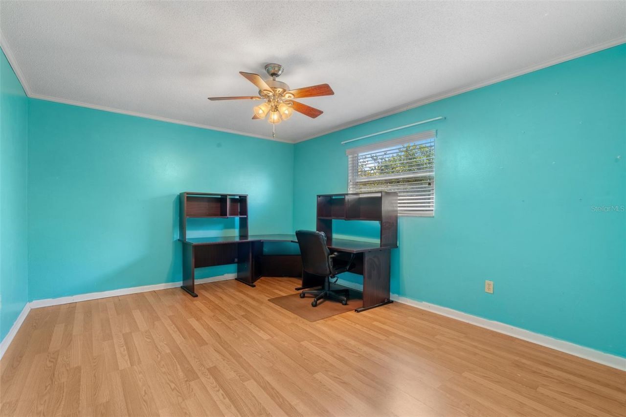 12114 Rhonda Terrace, Seminole, FL 33772 Photo