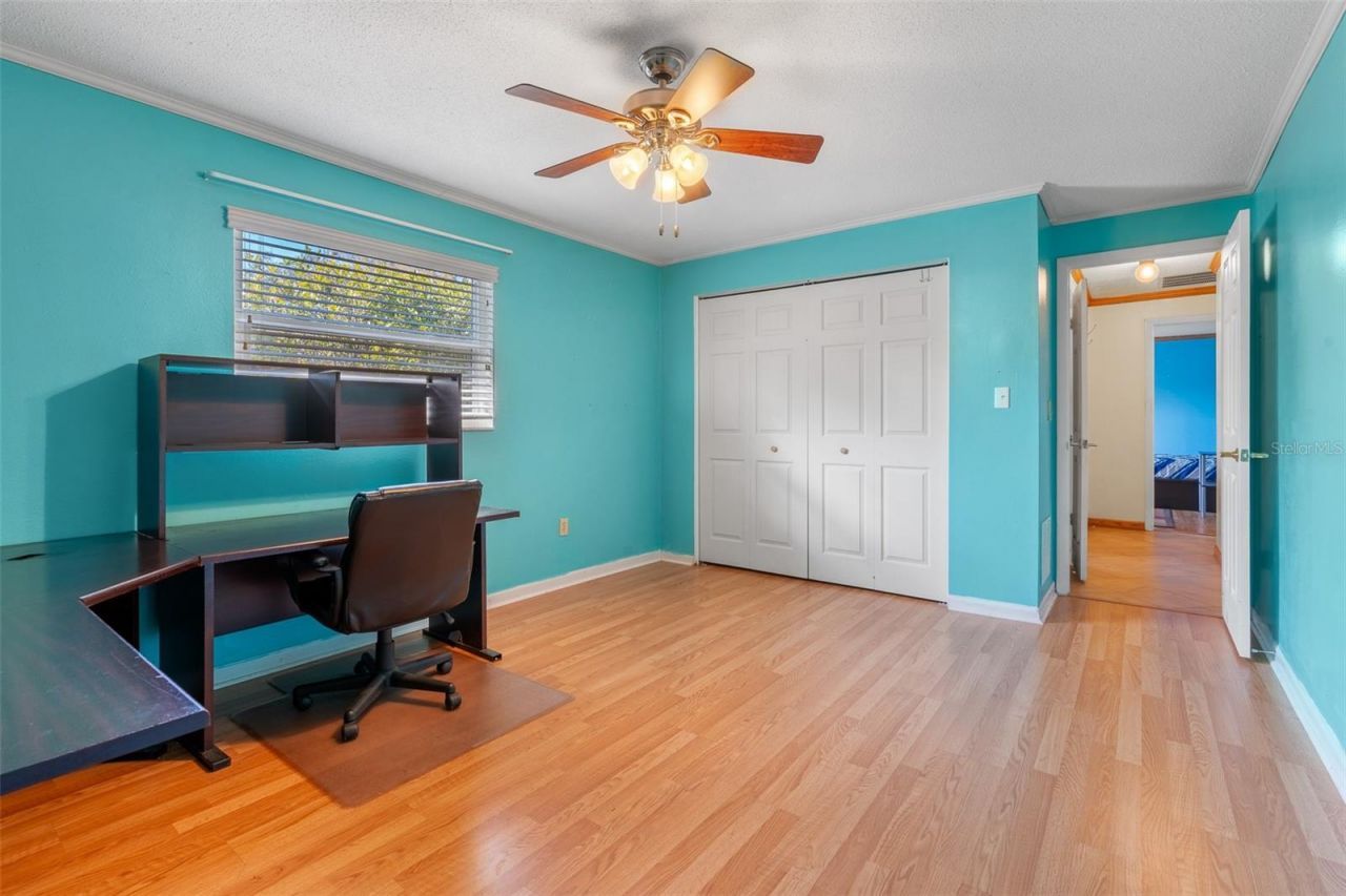 12114 Rhonda Terrace, Seminole, FL 33772 Photo