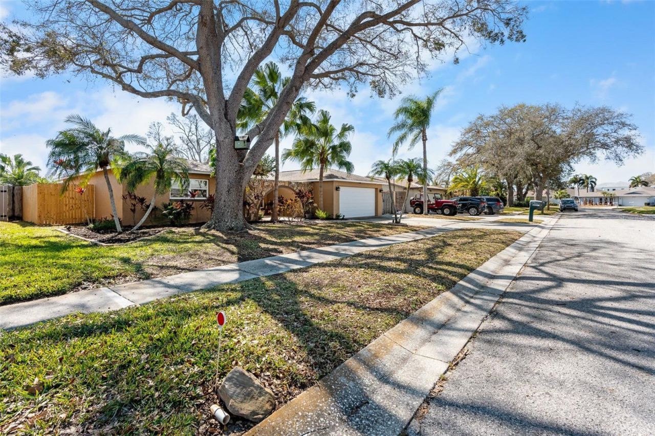 12114 Rhonda Terrace, Seminole, FL 33772 Photo