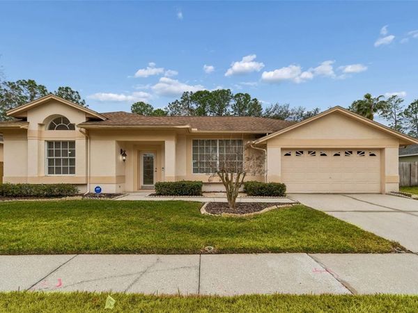 9309 ROCKROSE DRIVE, TAMPA, FL 33647