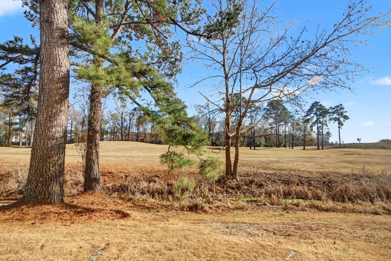 488 River Oaks Dr. Photo 30