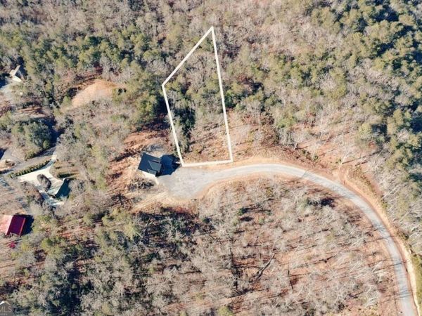 LOT 53 Mountain Laurel Ridge, Mineral Bluff, GA 30559