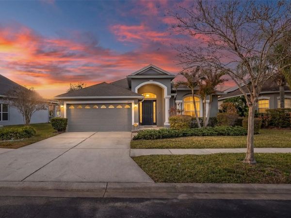 20301 FALLING ROCK DRIVE, LAND O LAKES, FL 34638