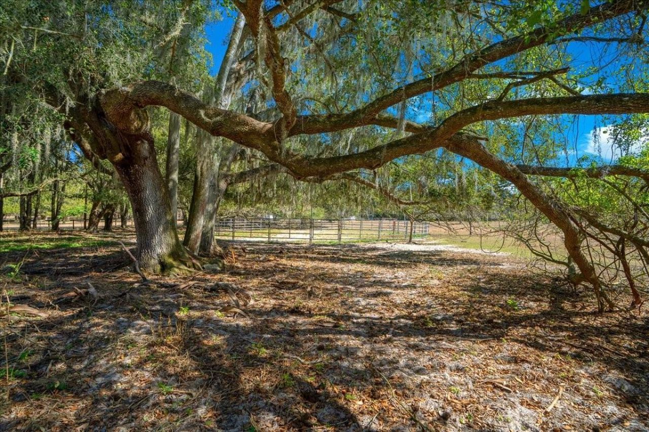 5824 SE 185th Avenue, Micanopy, FL 32667 Photo