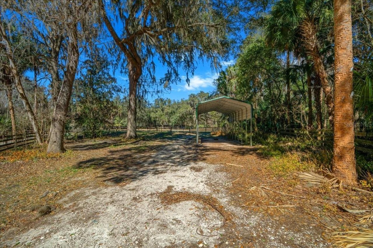 5824 SE 185th Avenue, Micanopy, FL 32667 Photo