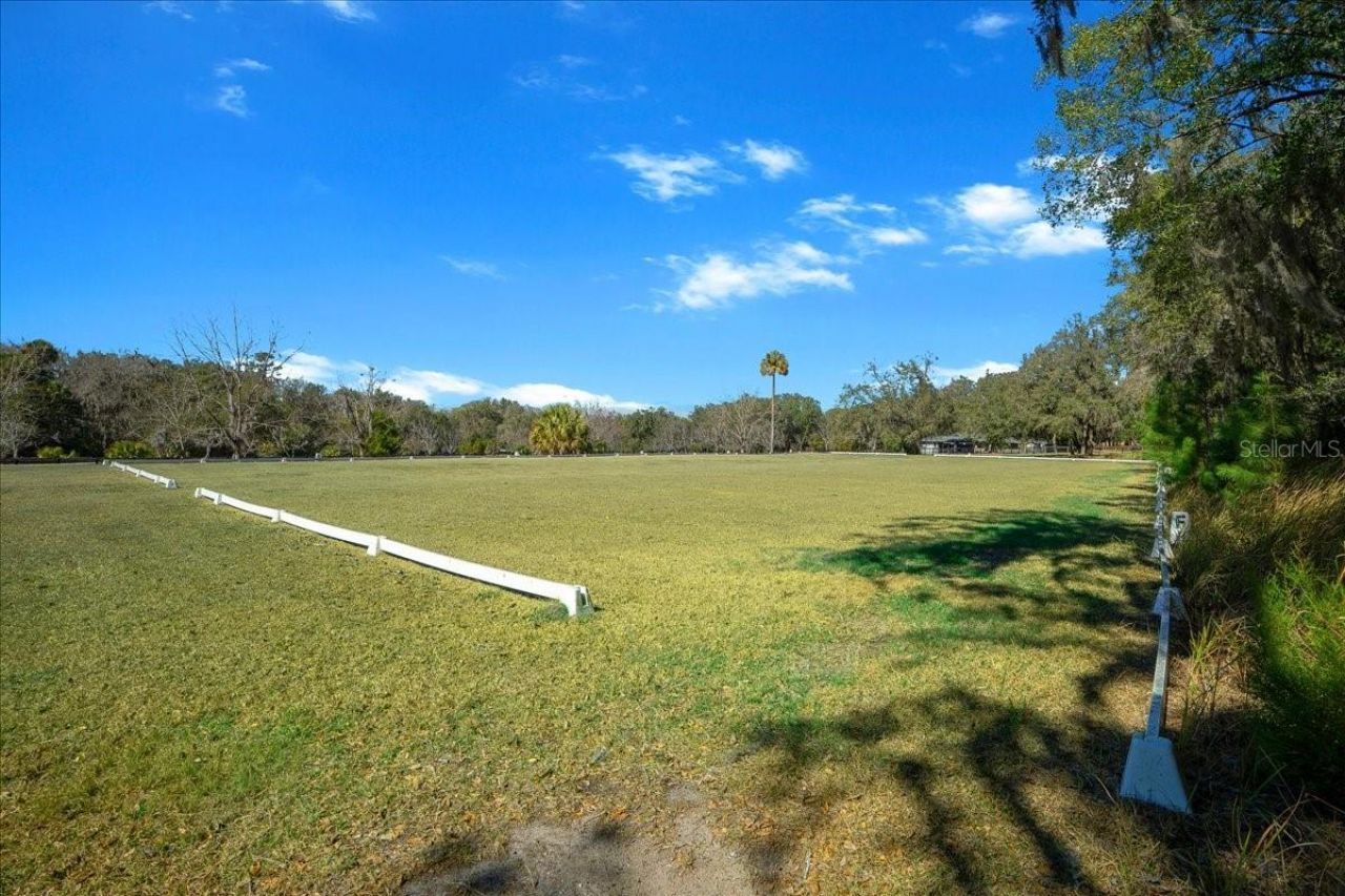 5824 SE 185th Avenue, Micanopy, FL 32667 Photo