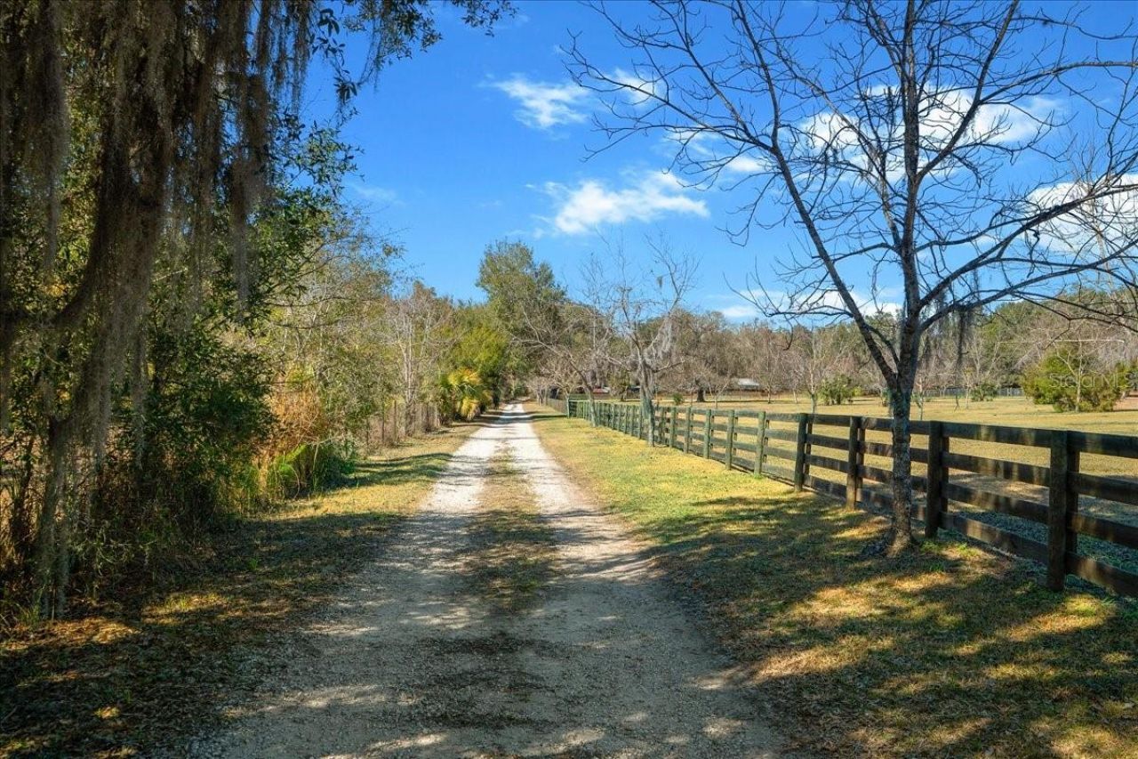 5824 SE 185th Avenue, Micanopy, FL 32667 Photo