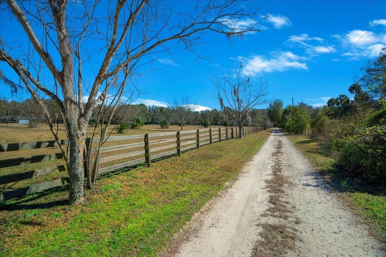 5824 SE 185th Avenue, Micanopy, FL 32667 Photo