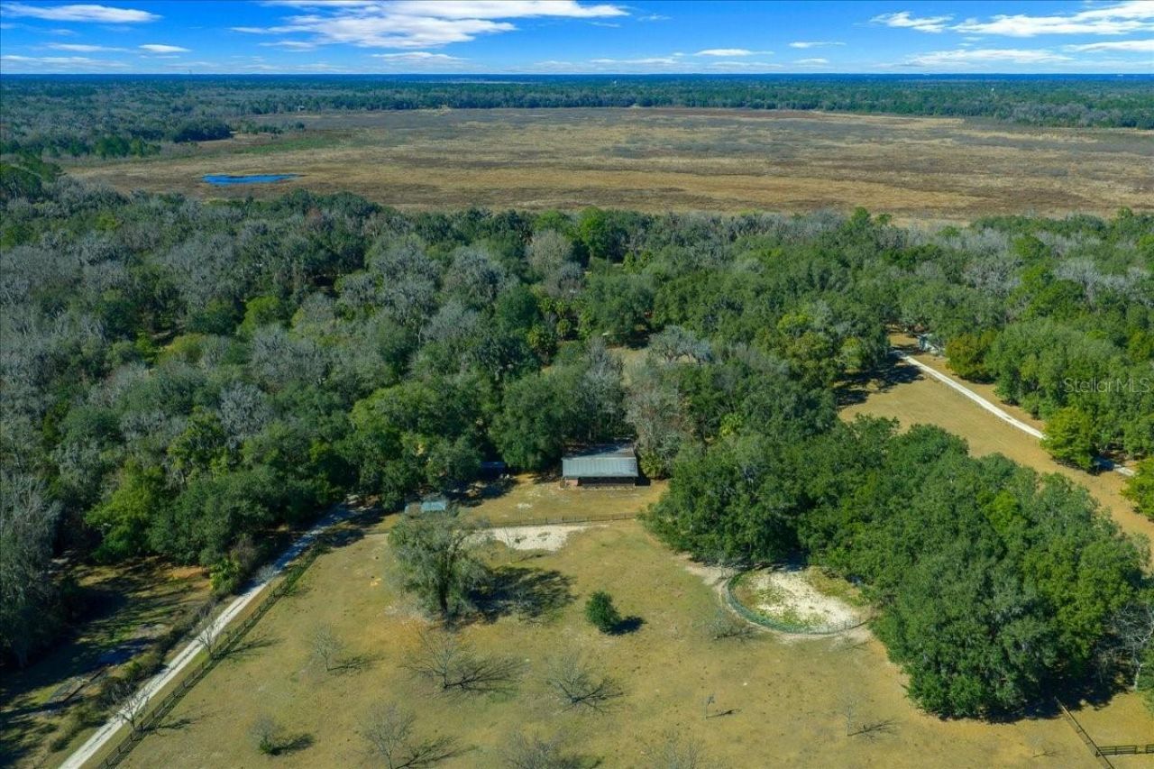 5824 SE 185th Avenue, Micanopy, FL 32667 Photo