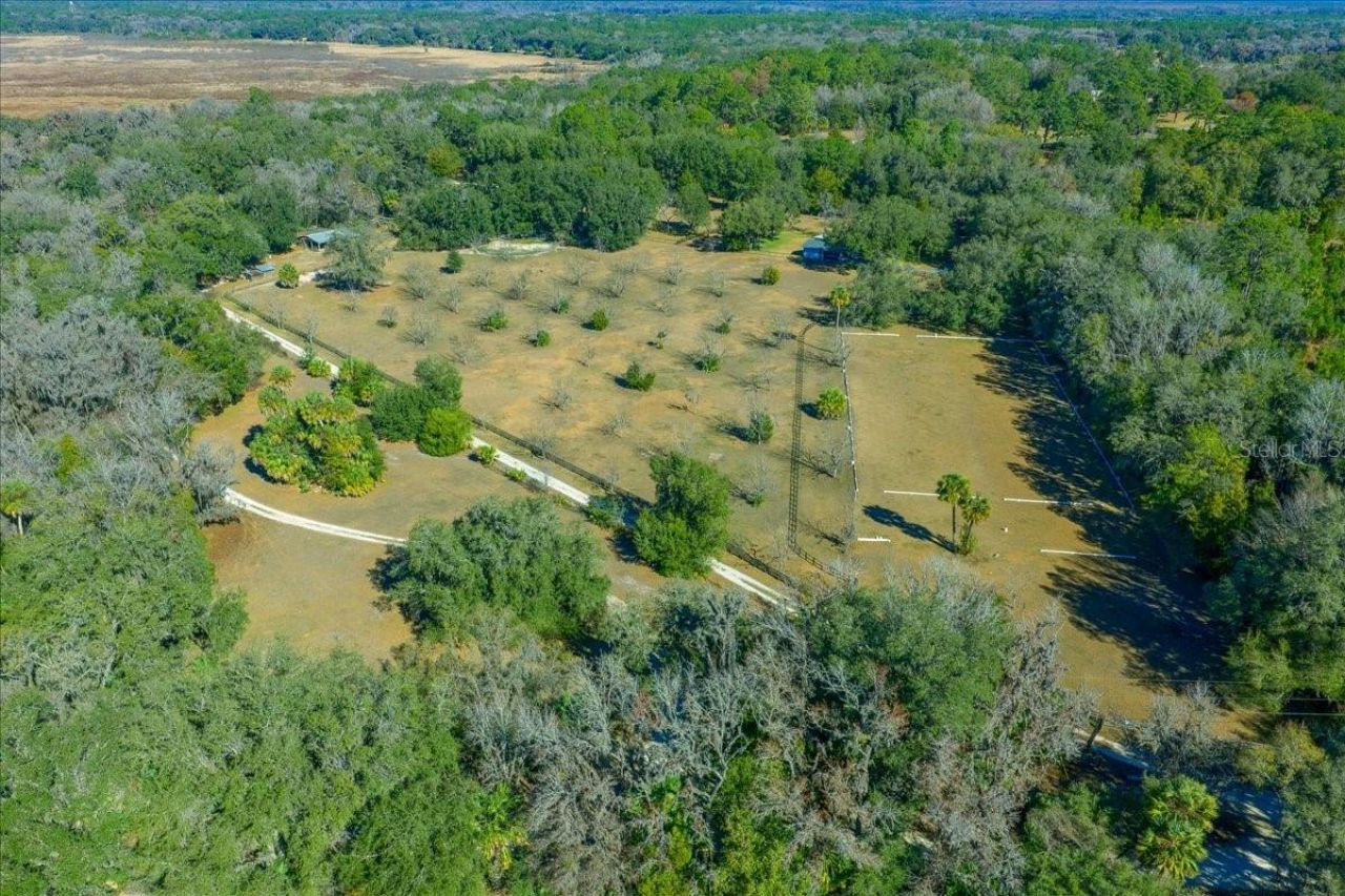 5824 SE 185th Avenue, Micanopy, FL 32667 Photo