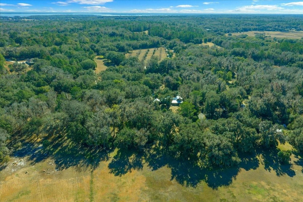 5824 SE 185th Avenue, Micanopy, FL 32667 Photo