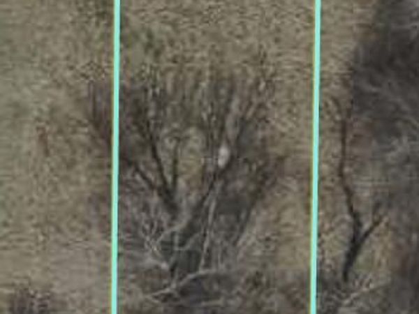 000 E 13th Street, Lima, OH 45804