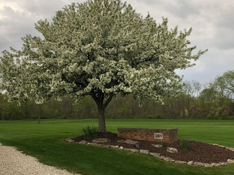 12819 Sugar Mill Lane, Plain City, OH 43064 Photo 45