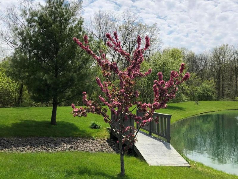 12819 Sugar Mill Lane, Plain City, OH 43064 Photo 46