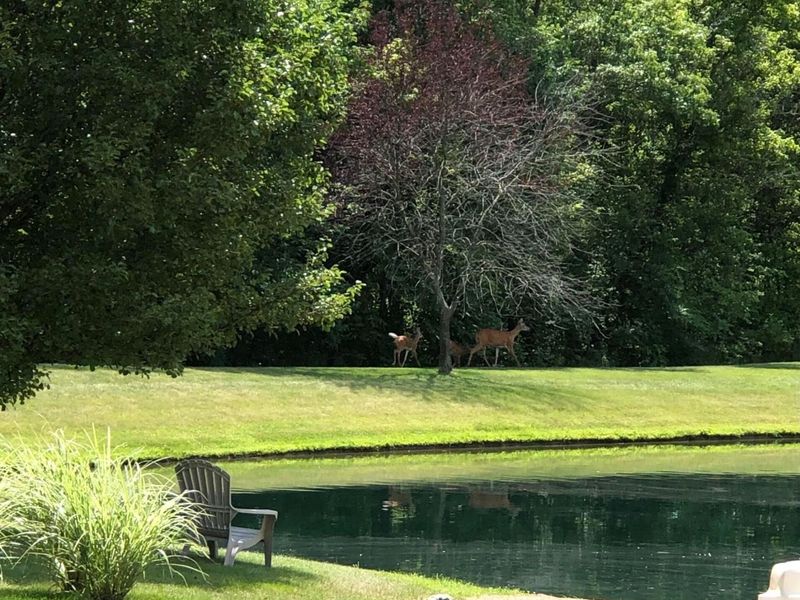 12819 Sugar Mill Lane, Plain City, OH 43064 Photo 48