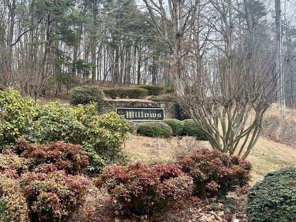 0 Willows Drive, Cleveland, GA 30528