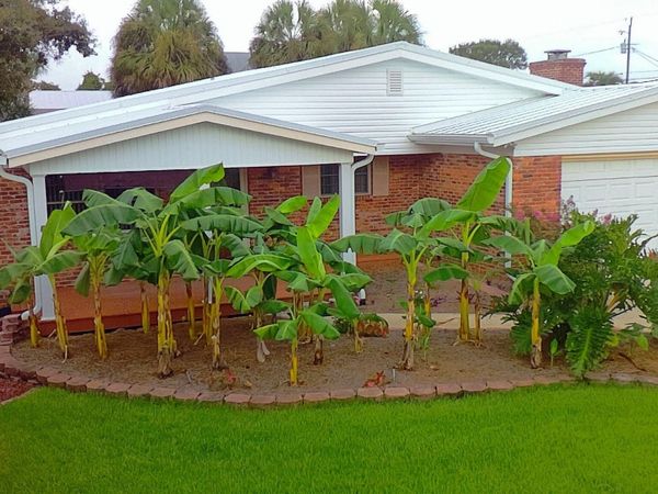 14202 Bay Avenue, Panama City Beach, FL 32413