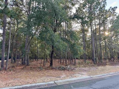 Lot 63 Preservation Circle , Pawleys Island, SC 29585