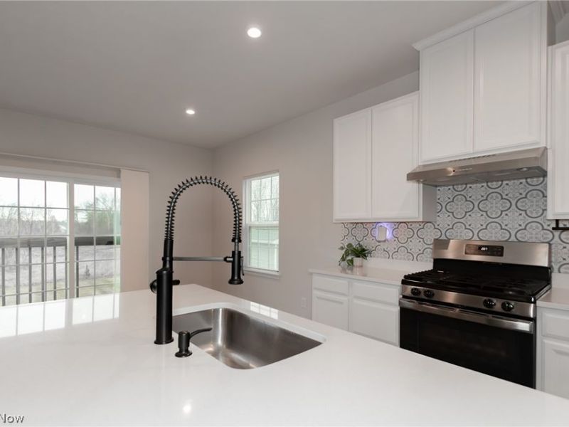 1809 Muirfield Lane, Painesville, OH 44077 Photo 5