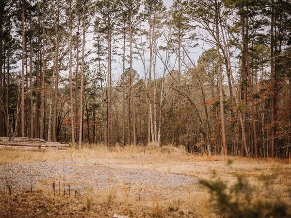 149 View Drive, Shirley, AR 72153