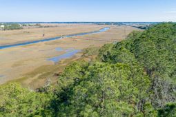 1714 Vireo Court photo 4