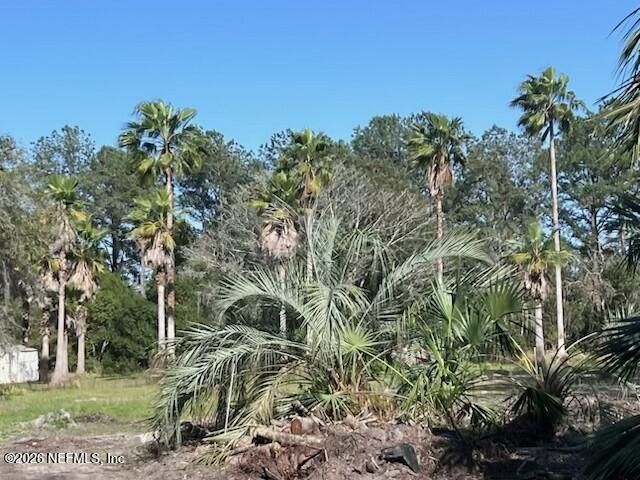 0 Reid Packing House Rd Road, Hastings, FL 32145 Photo