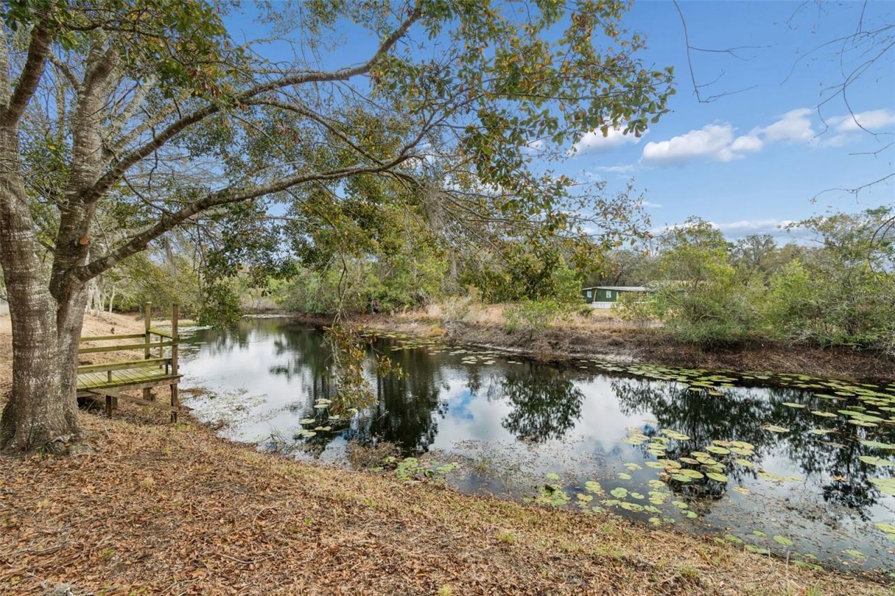 9732 Casey Drive, New Port Richey, FL 34654 Photo